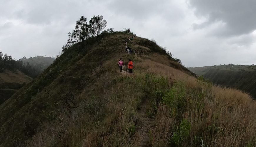 Amazing SouthAmerican Tours