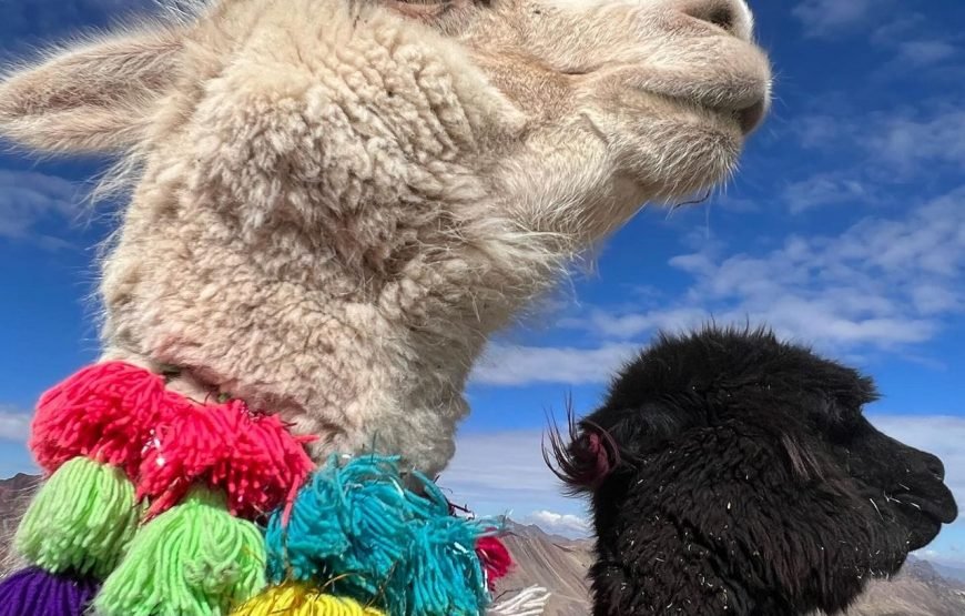 Cusco – Peru